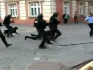 romanian special forces storm